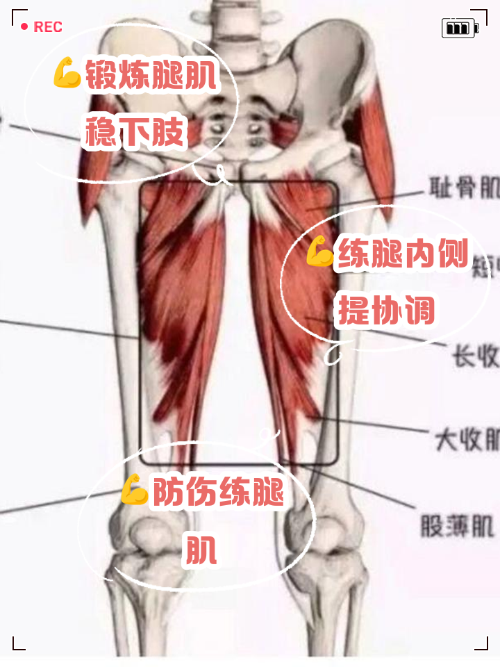 左大腿根内侧疼怎么回事
