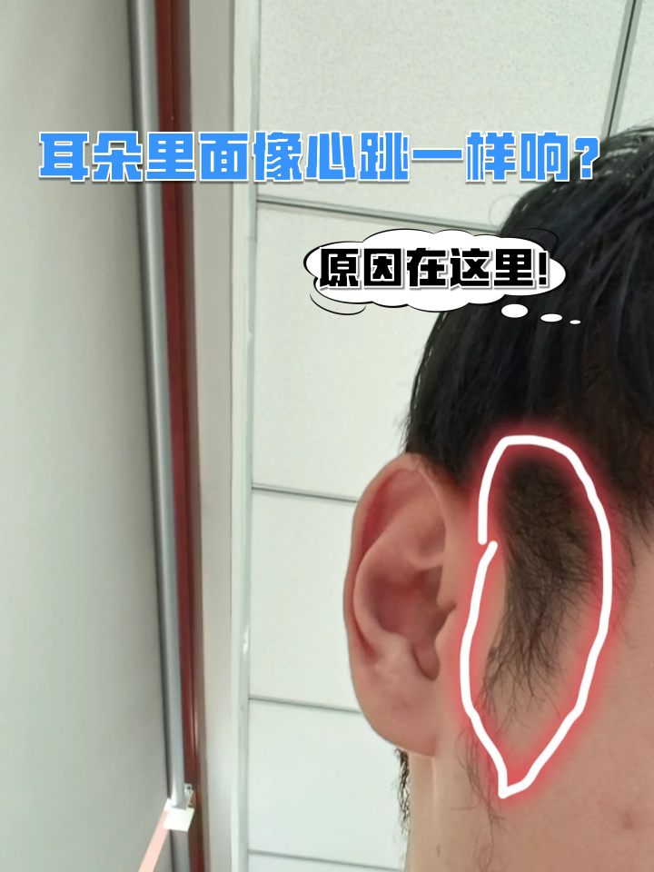 耳朵响是什么原因