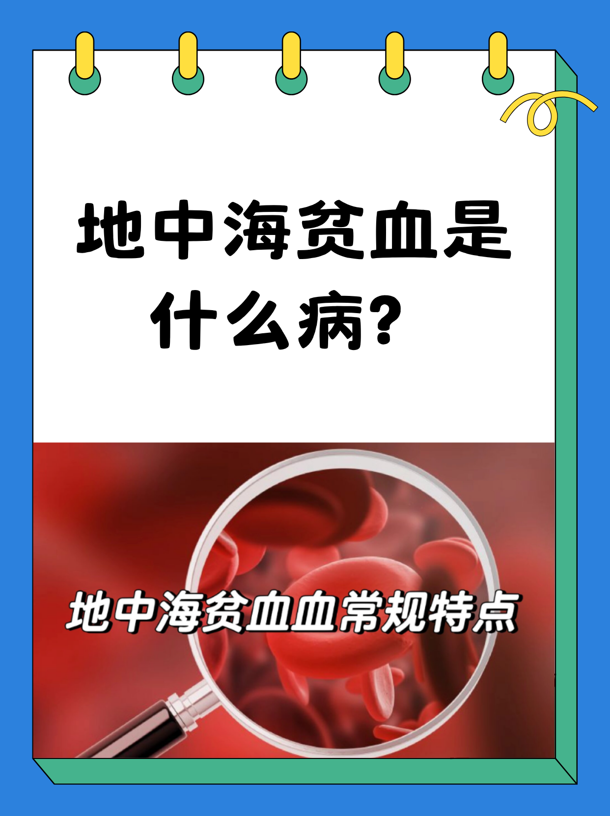 地中海贫血是什么病
