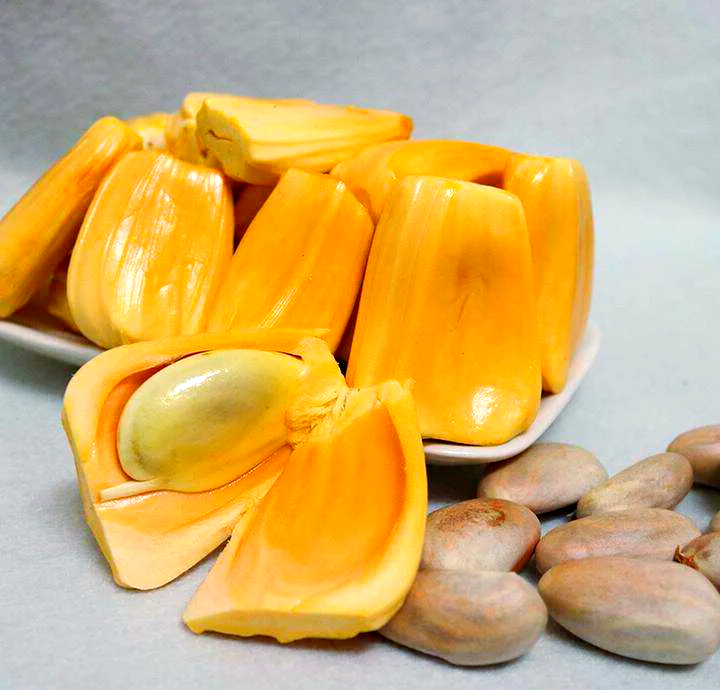 菠萝蜜孕妇能吃吗