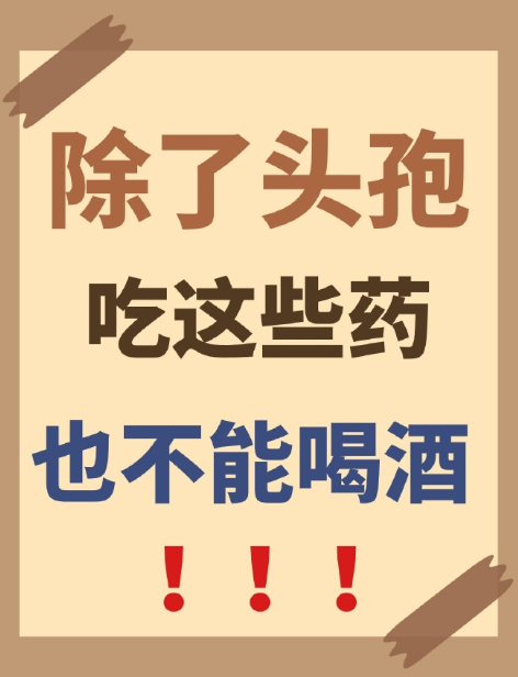 吃头孢不能吃什么