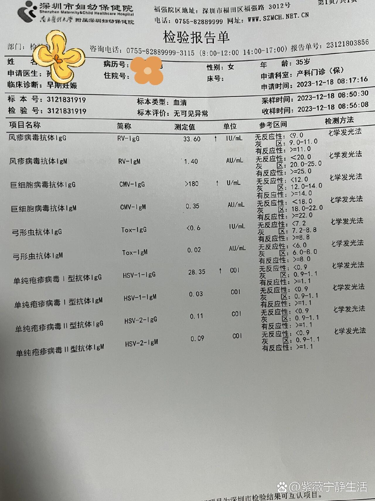 巨细胞病毒抗体IgG阳性+是什么意思