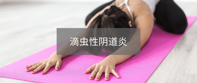 滴虫性阴道炎好治吗