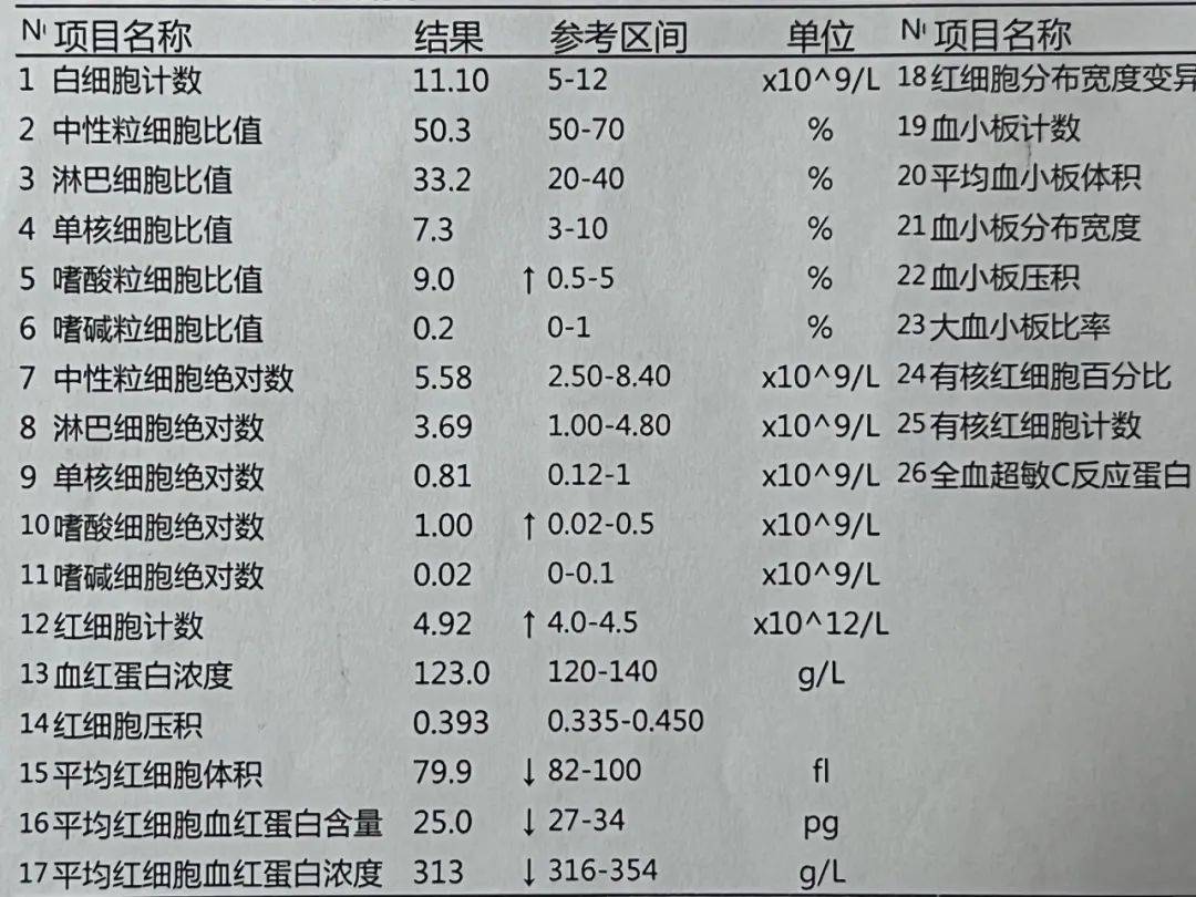 单核细胞偏高