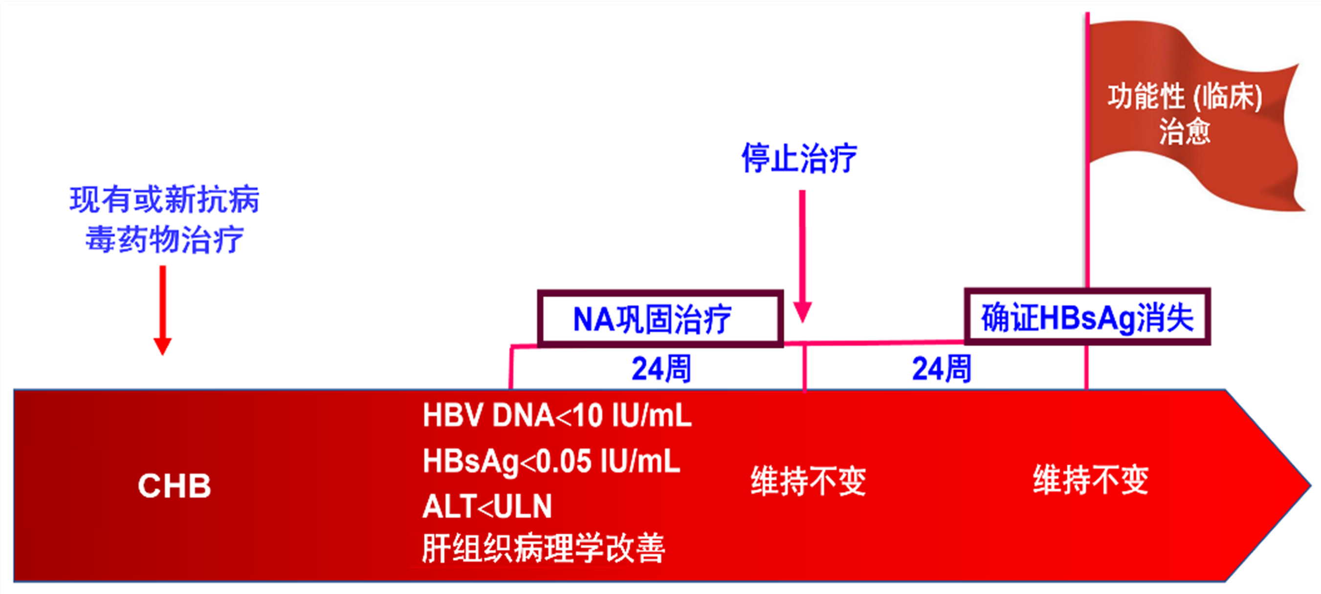 慢性乙型肝炎是什么