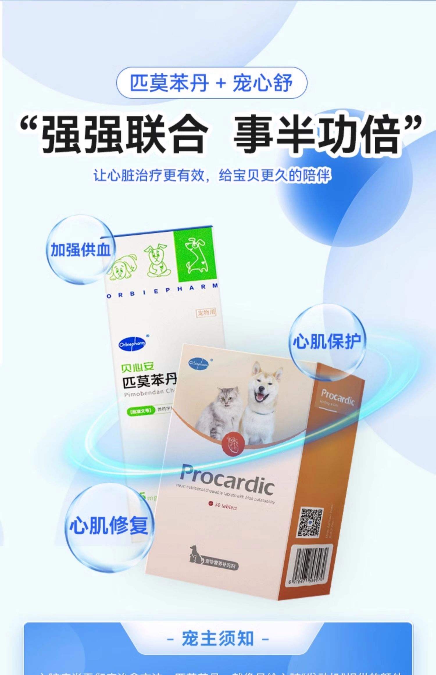 心衰吃什么药物比较好