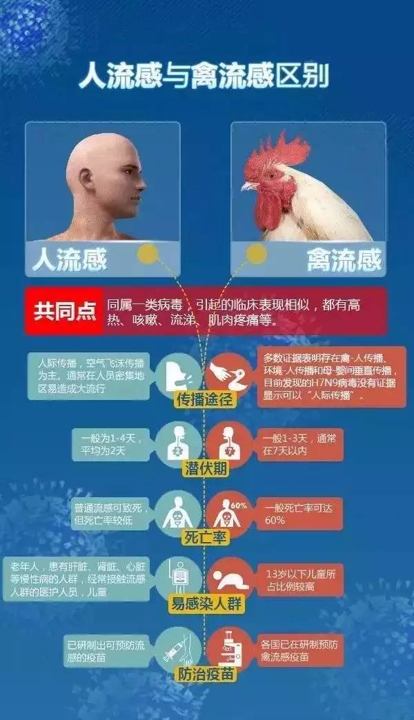 禽流感会轻易传染给人吗?
