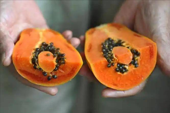 胆囊炎吃什么水果最好