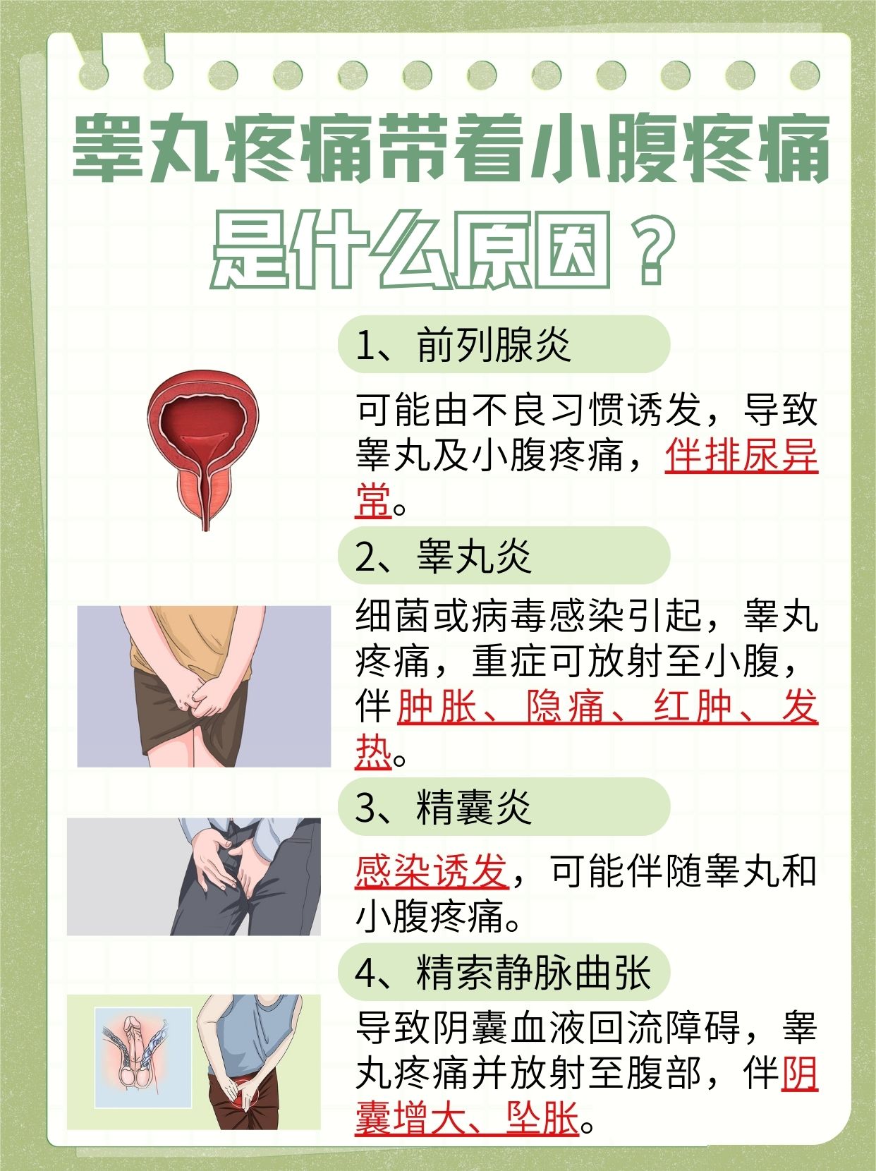 睾丸疼痛是什么原因引起的