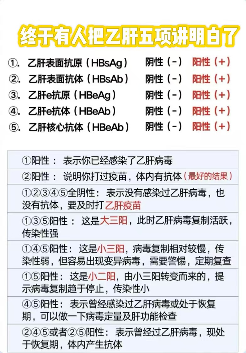 乙肝两对半检查是什么意思