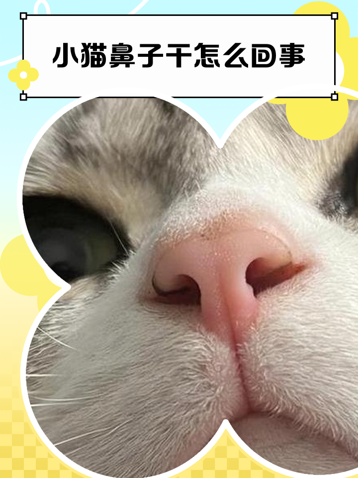 鼻子发干怎么回事?