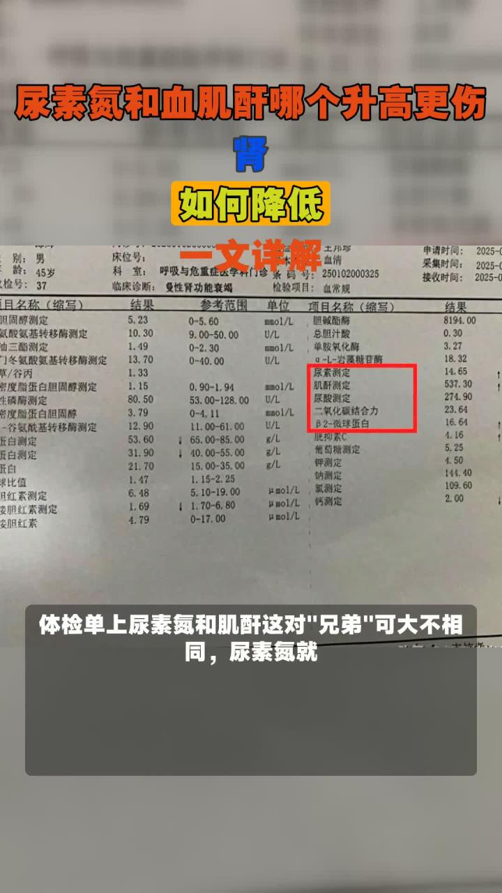 肌酐偏高怎么办