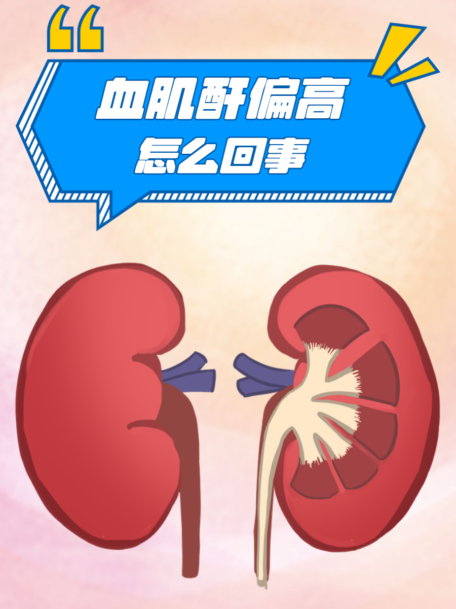肌酐偏高怎么办