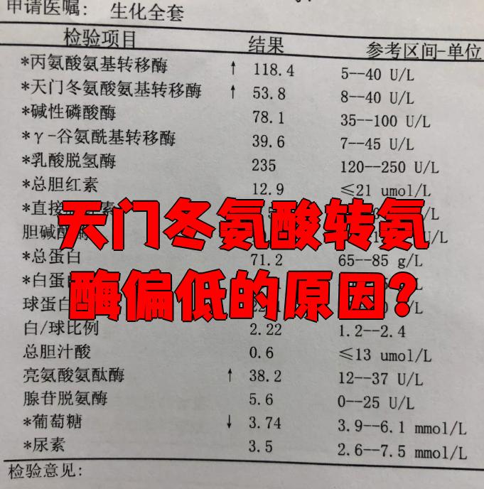 天门冬氨酸氨基转移酶高怎么办