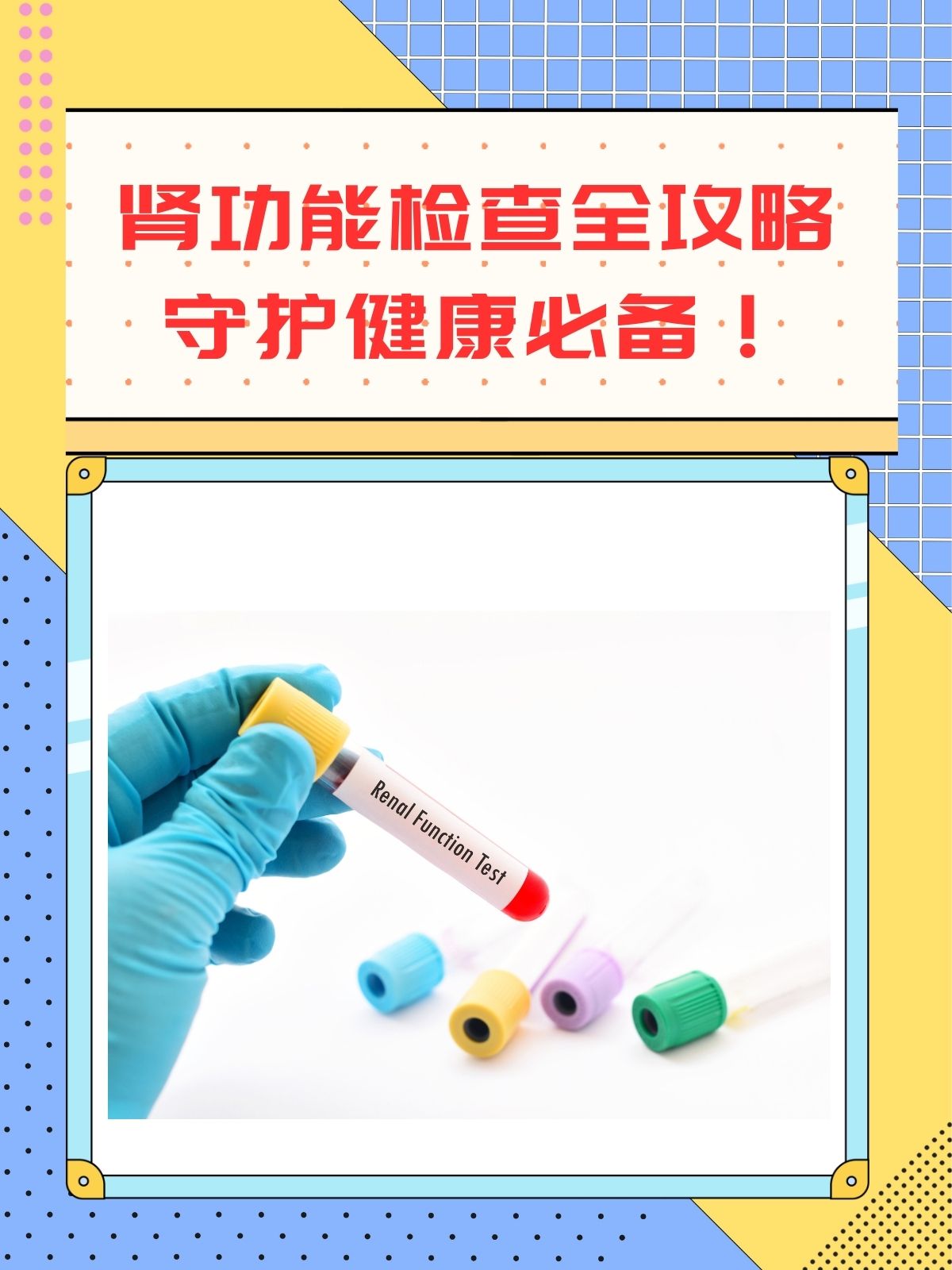 肾功能三项