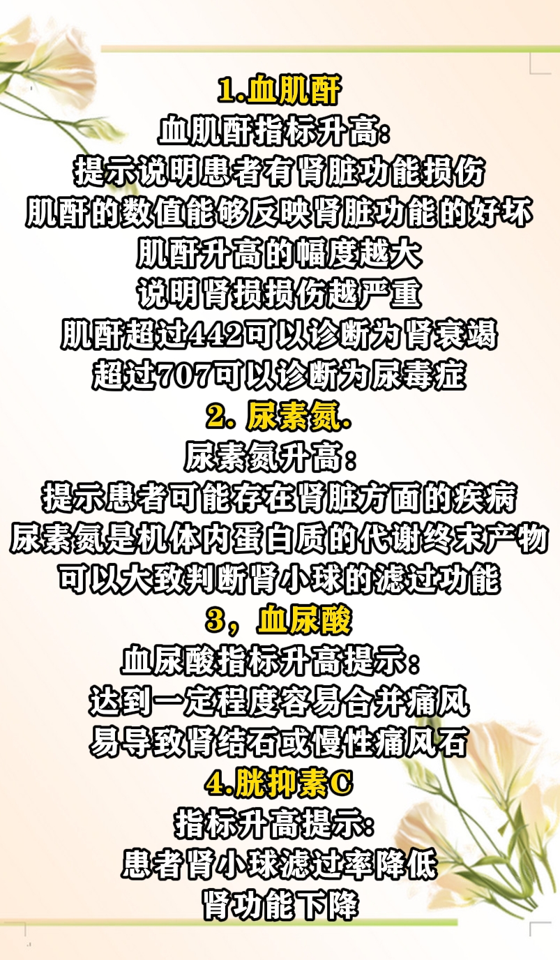 肾功能三项