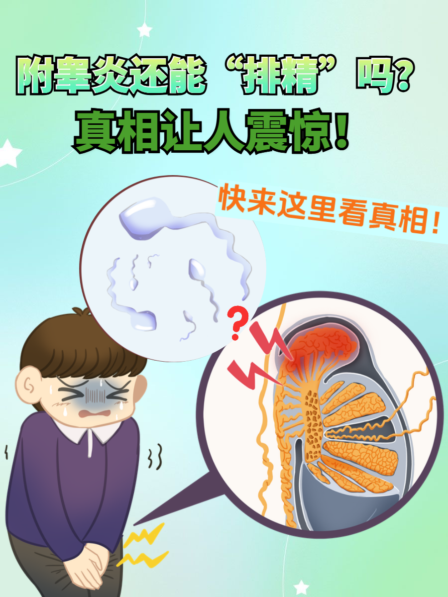 附睾炎会影响生育吗