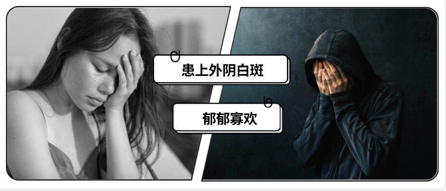 2025年10月15日 第136页