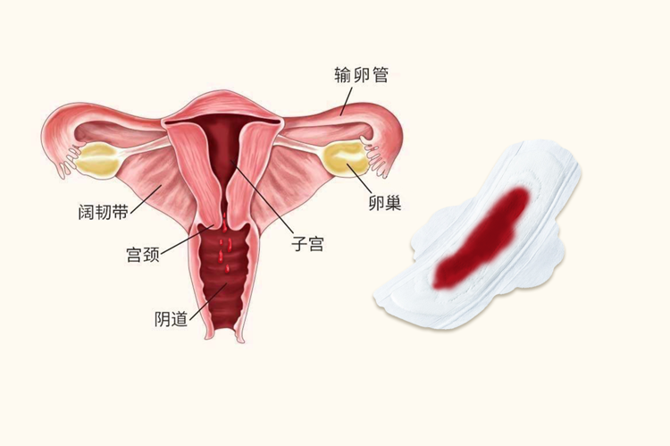 有阴道炎可以有性生活吗