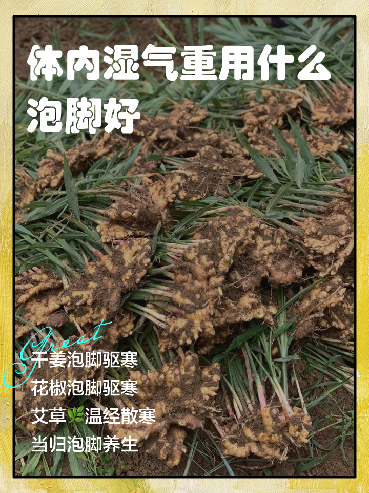 用什么东西泡脚最好