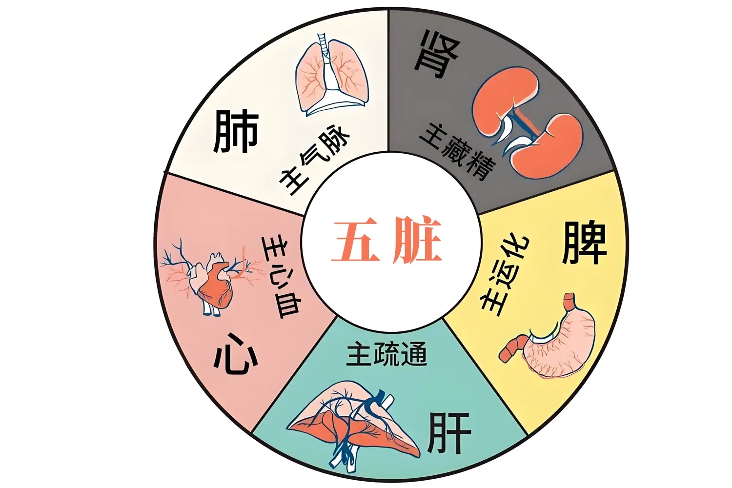 心阳虚是什么病