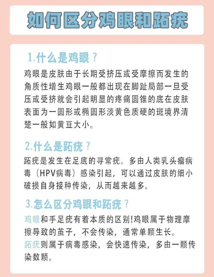 融晴曦