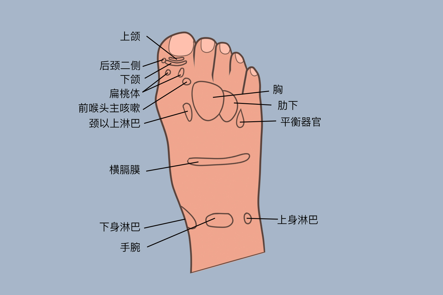 城曼安