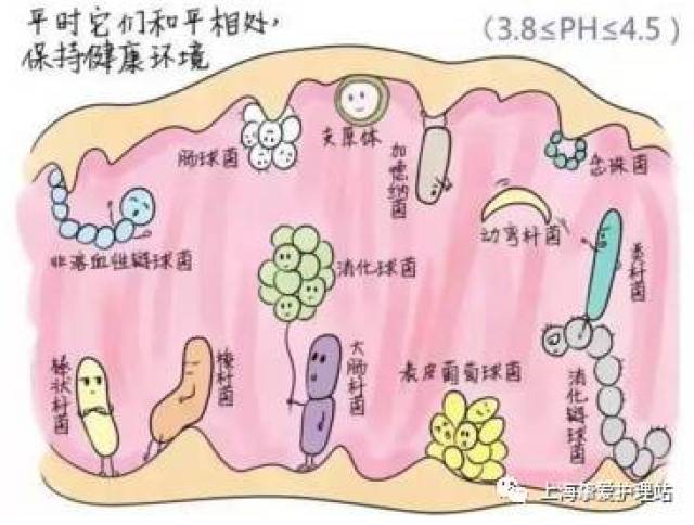 滴虫性阴道炎主要症状
