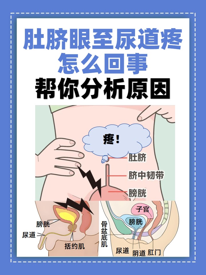 肚脐正上方疼痛