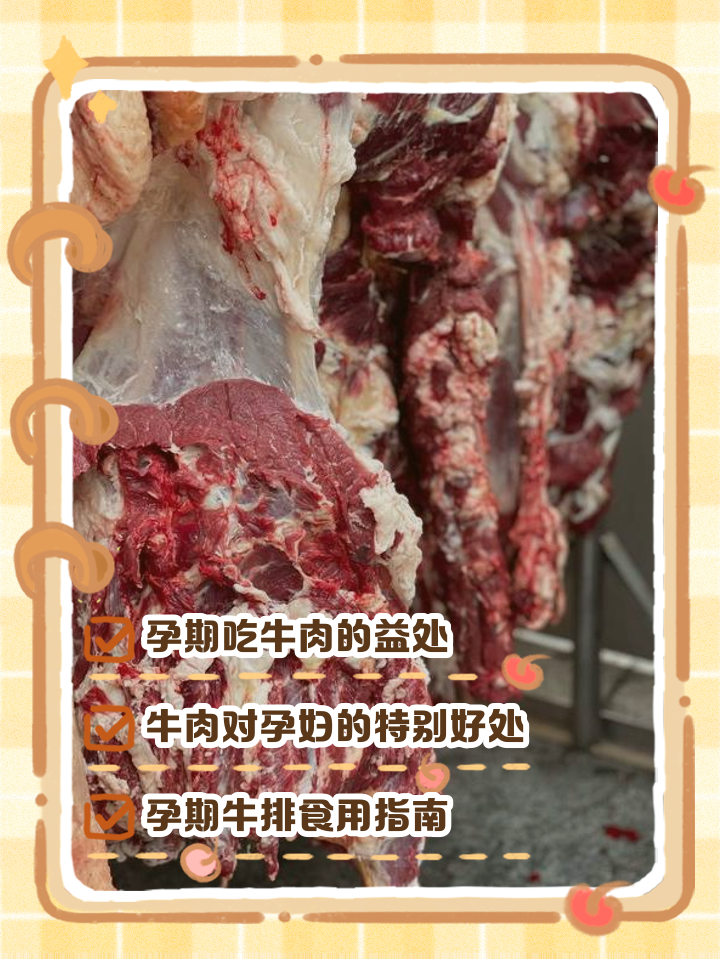 怀孕初期能吃牛肉吗