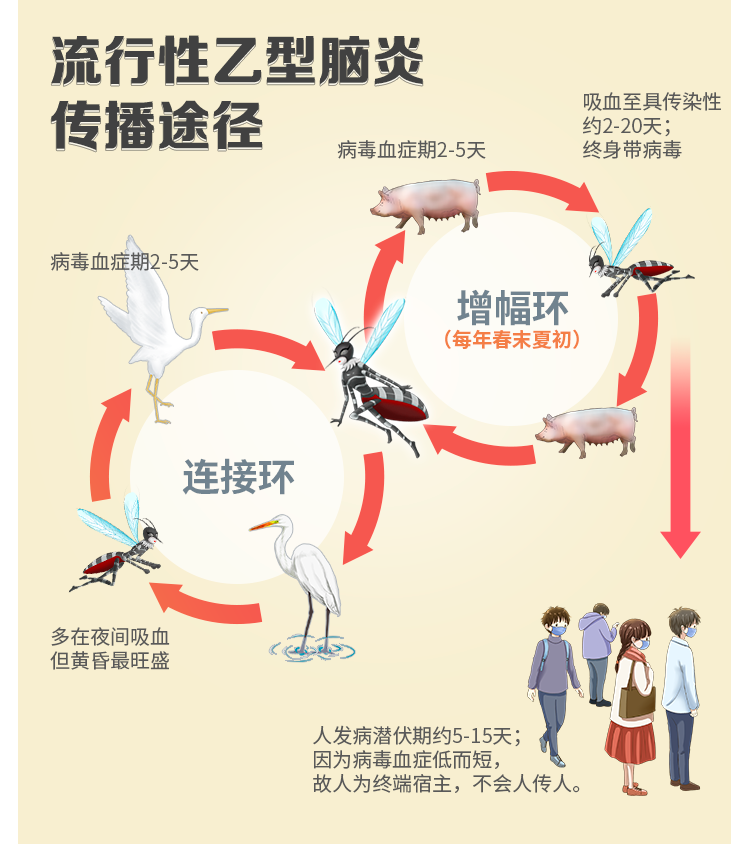脑炎传染吗