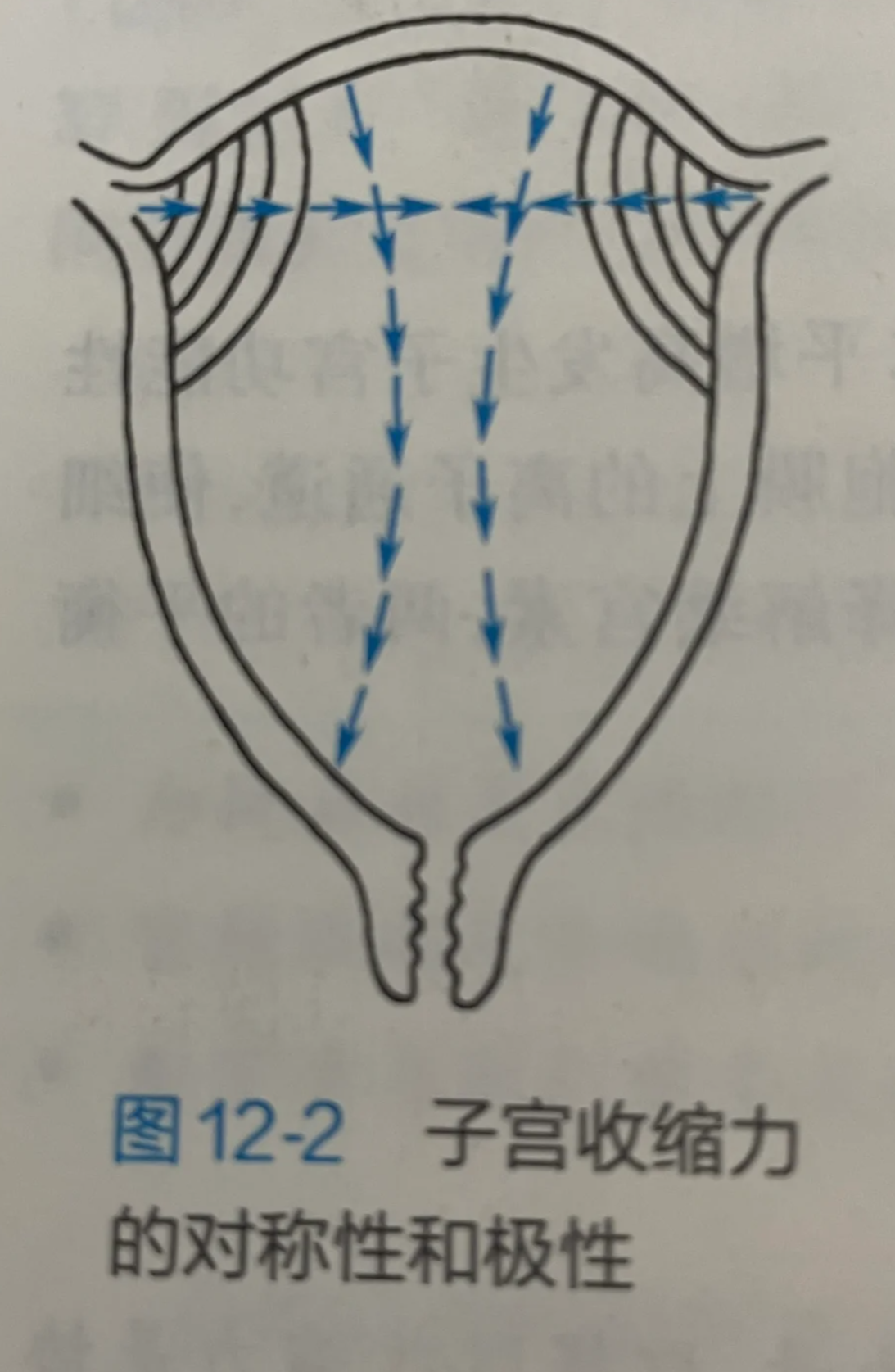 无痛取环麻醉打在哪里