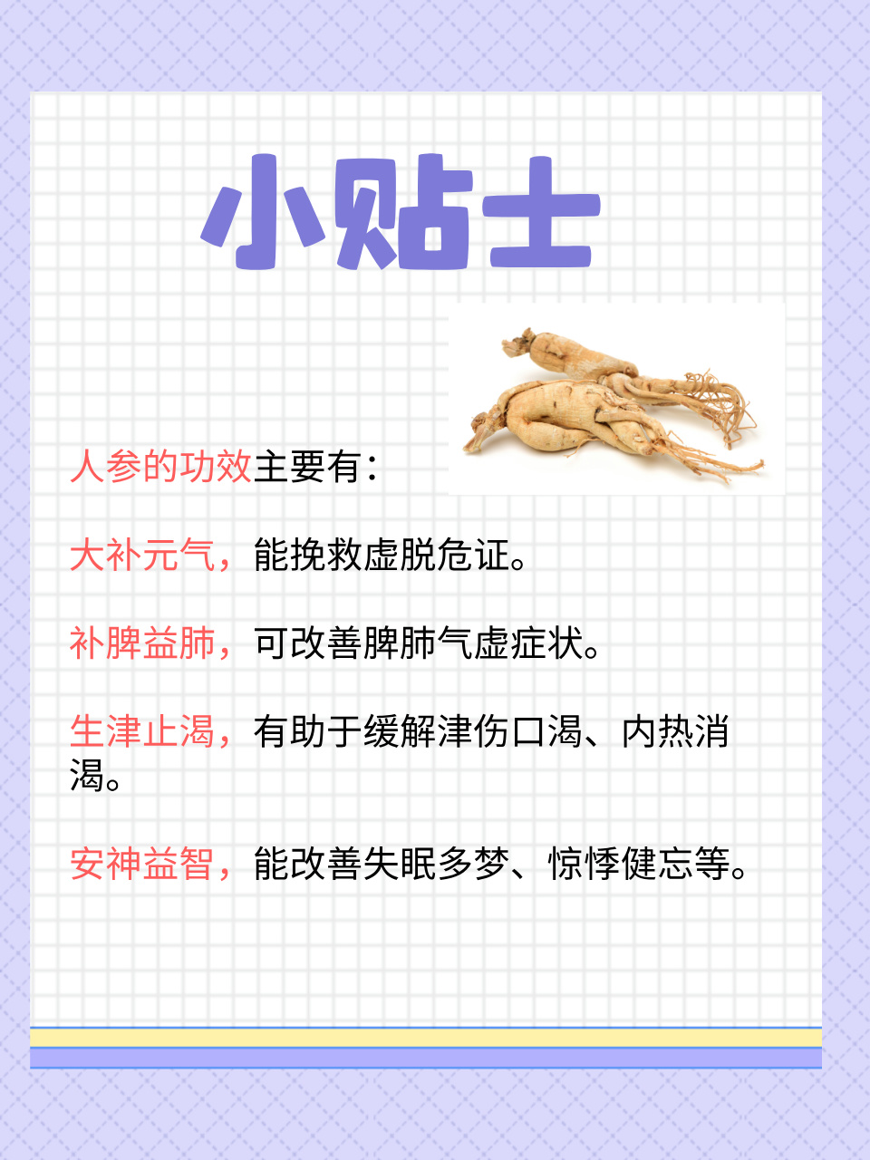 哺乳期吃人参会回奶吗