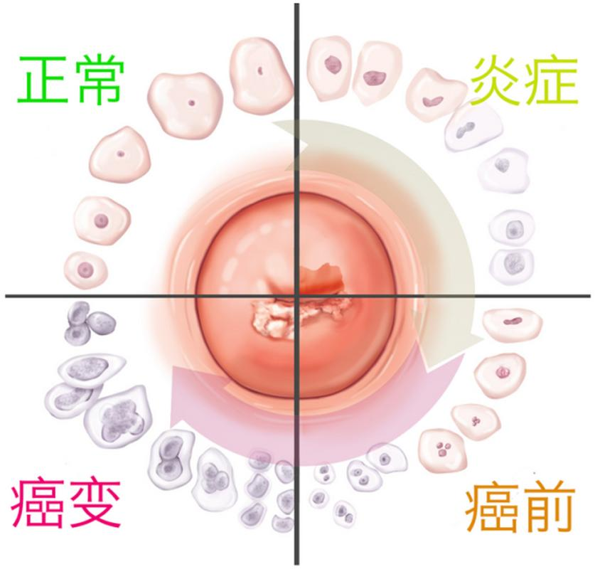 2025年10月19日 第6页