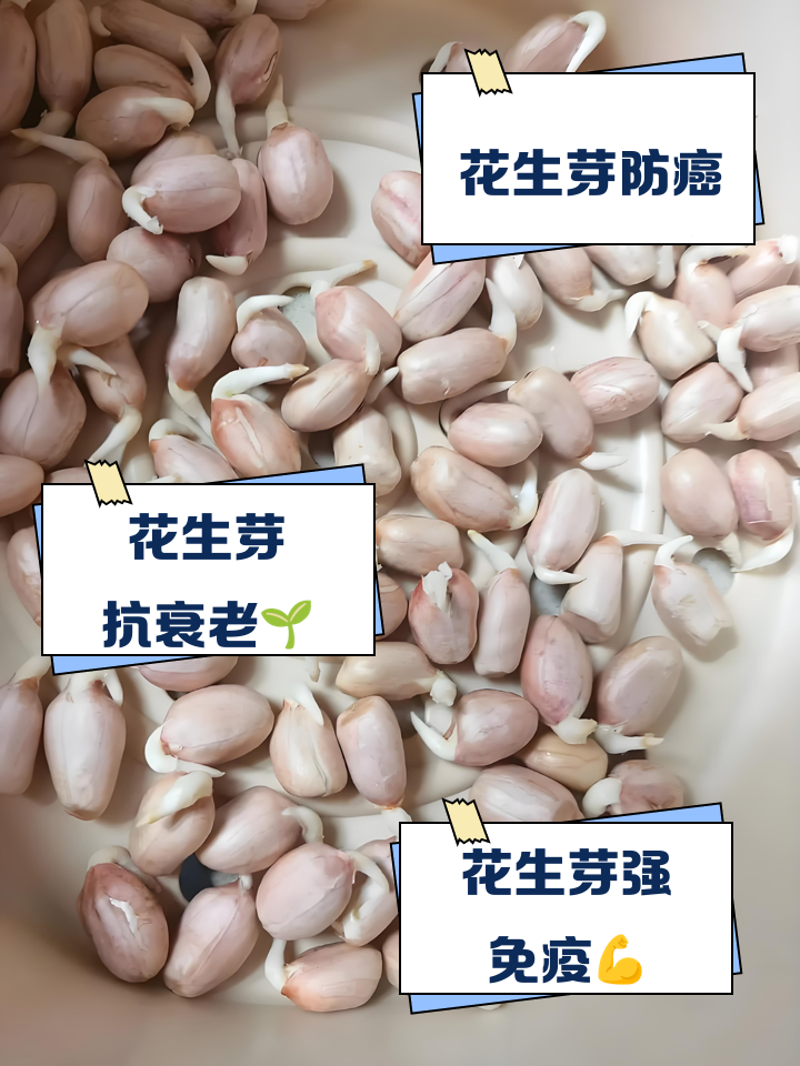 花生的营养价值
