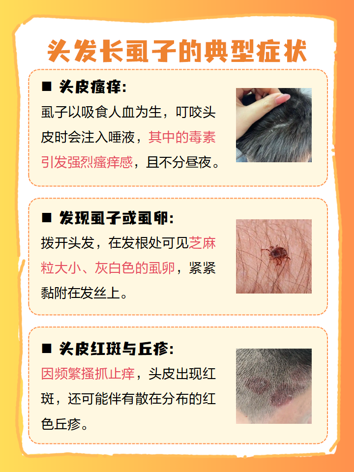 延宏峻