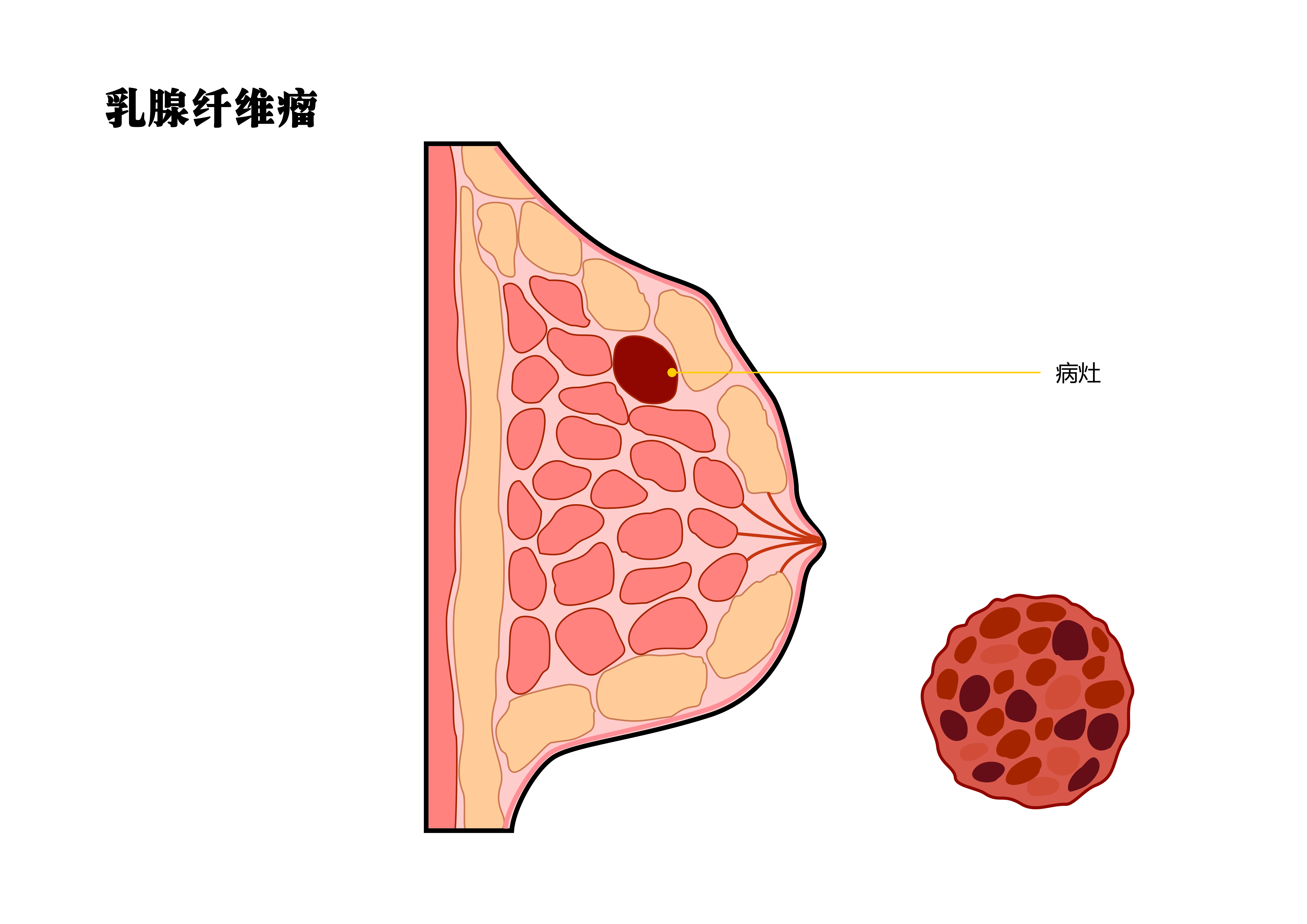 柯逸美