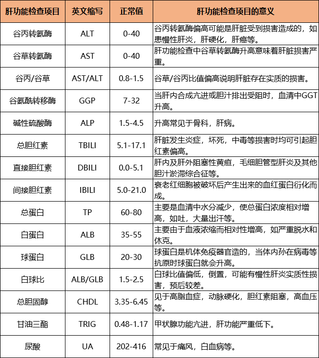 肝功能八项是什么