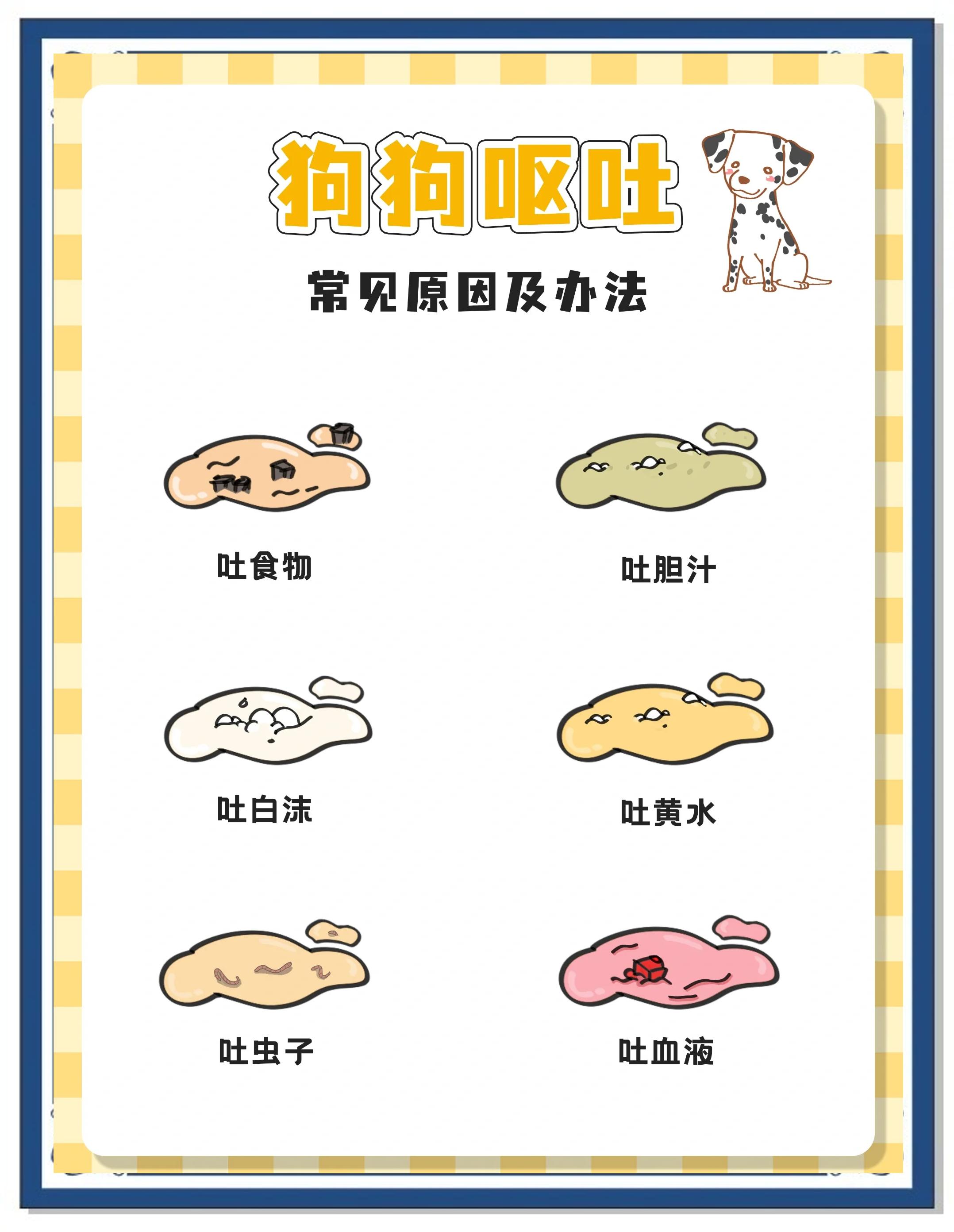 呕吐不止怎么办