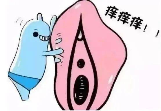 外阴瘙痒是什么引起的