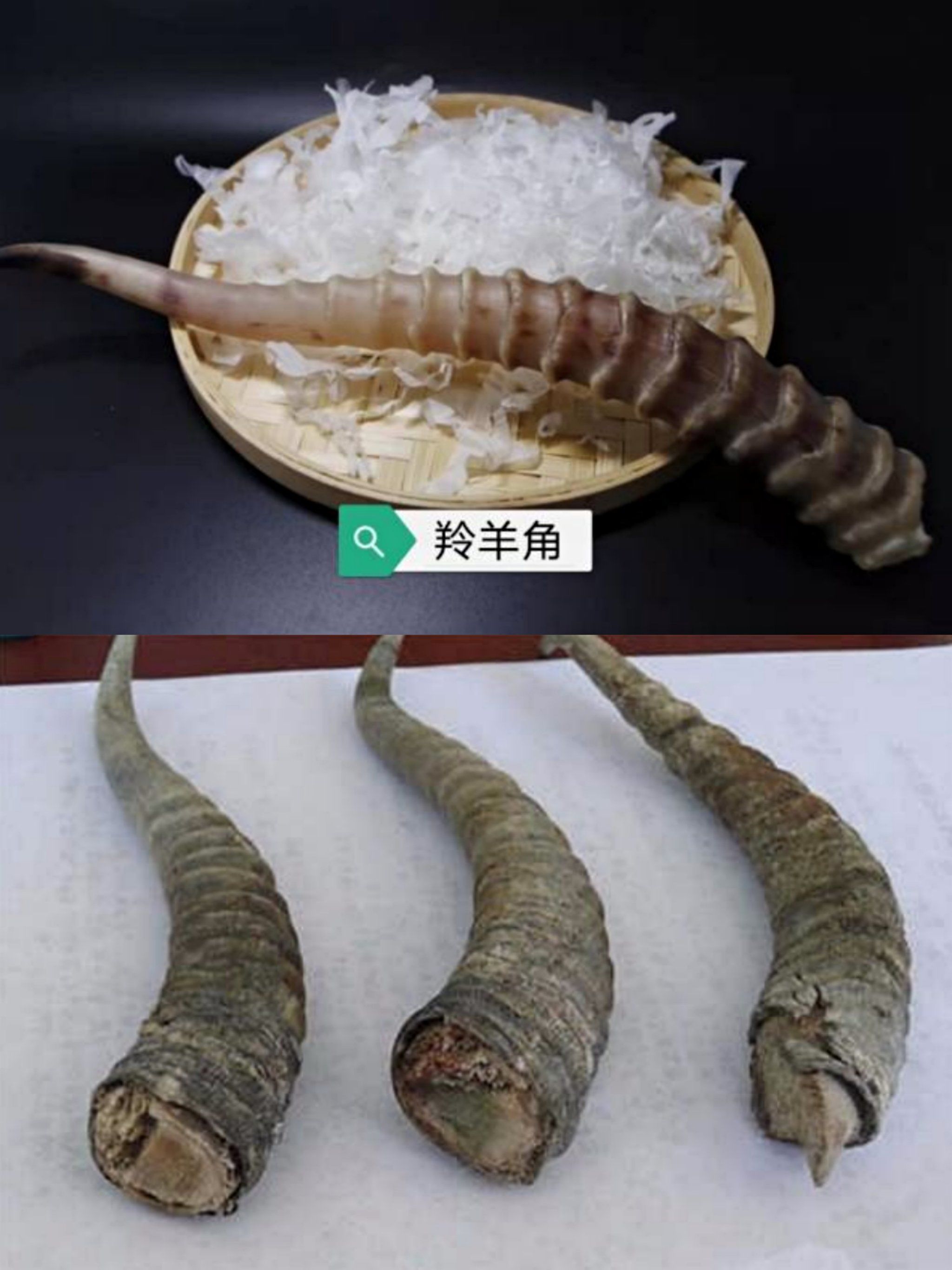 羚羊角的作用和用法