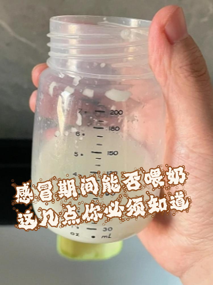 敖向槐