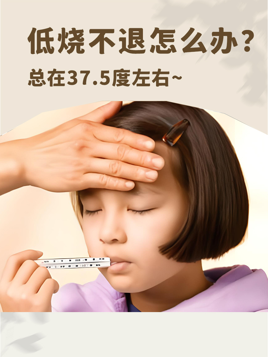 低烧不退,怎么治疗?