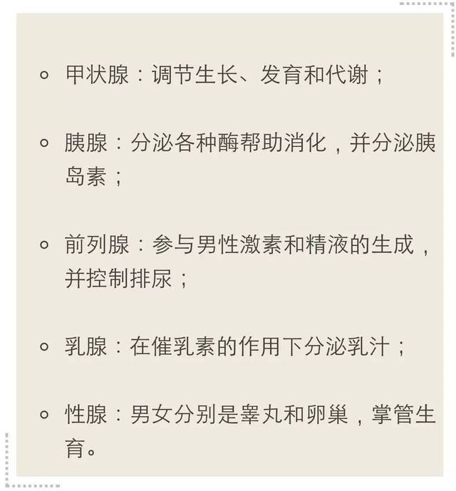 内分泌是什么