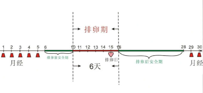 月经干净第一天同房会怀孕吗