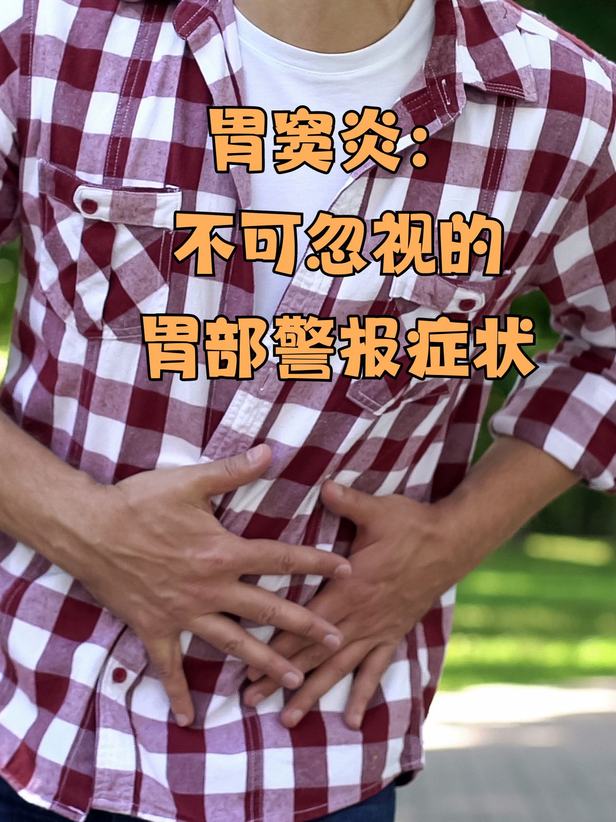 胃窦是什么意思
