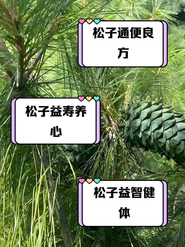 左丘雪曼