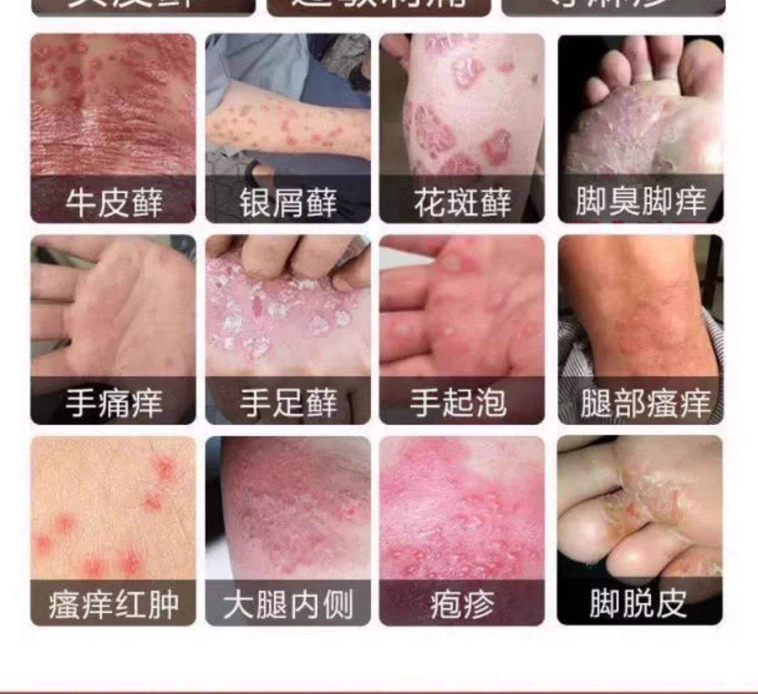 鲍晓昕