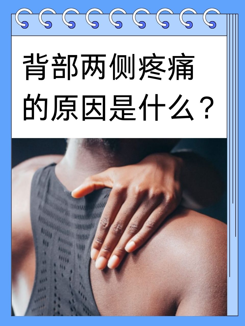 姓蝶