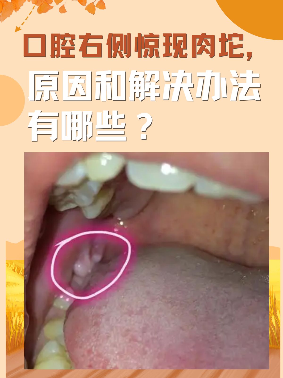 虢南烟